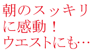 朝のスッキリに感動!ウエストにも…