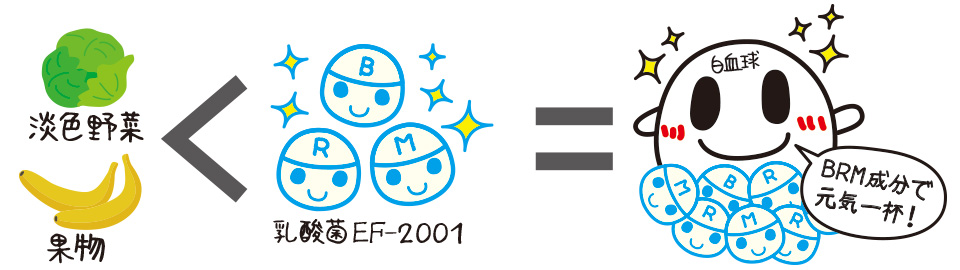 単色野菜・果物などに比べ「乳酸菌EF-2001」はRBM成分が多い！RBM成分で白血球が元気になります！