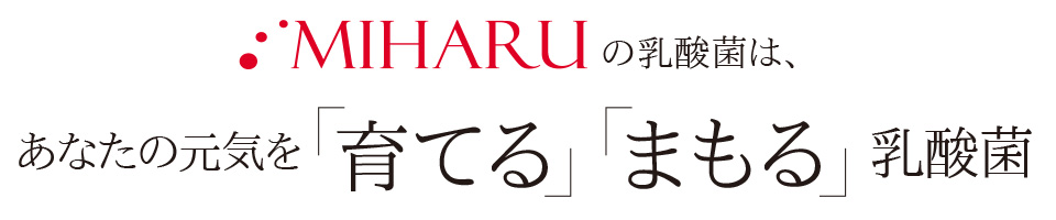 MIHARUの乳酸菌は、あなたの元気を「育てる」「まもる」乳酸菌